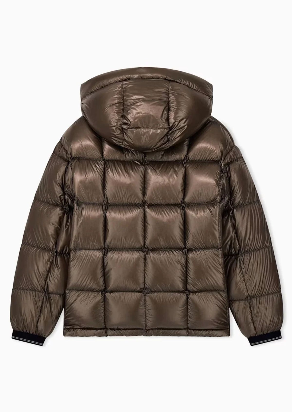 Piumino lucido con cappuccio e imbottitura in piuma d'anatra Falcon XM003344 AF23755 U6125 ARMANI EXCHANGE 